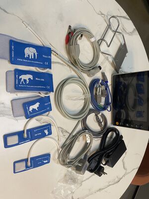 Monitor Paziente Multiparametrico Certificato ISO con Display LCD a Colori da 8 Pollici e Compatibilità con Carrello/Supporto a Parete